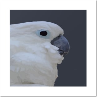 Side Portrait Of A Blue-Eyed Cockatoo Cut Out Posters and Art